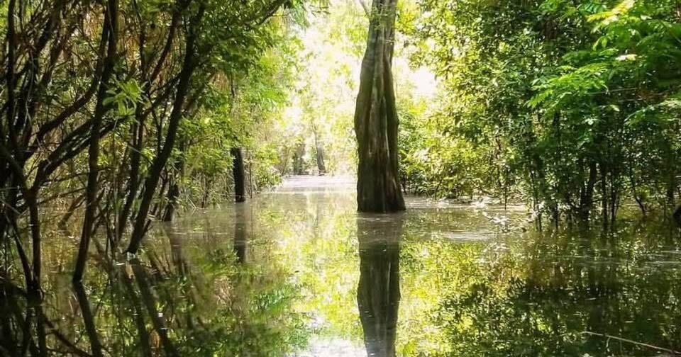 ALTER DO CHÃO - 05 à 11/09 - Foto 7