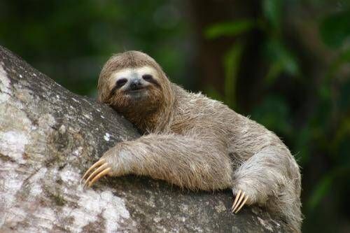 ALTER DO CHÃO - 05 à 11/09 - Foto 11