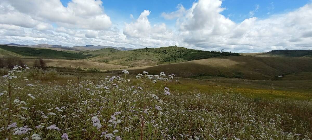 ALTO PALÁCIO x SERRA DOS ALVES - 01 à 03/05 - Foto 4