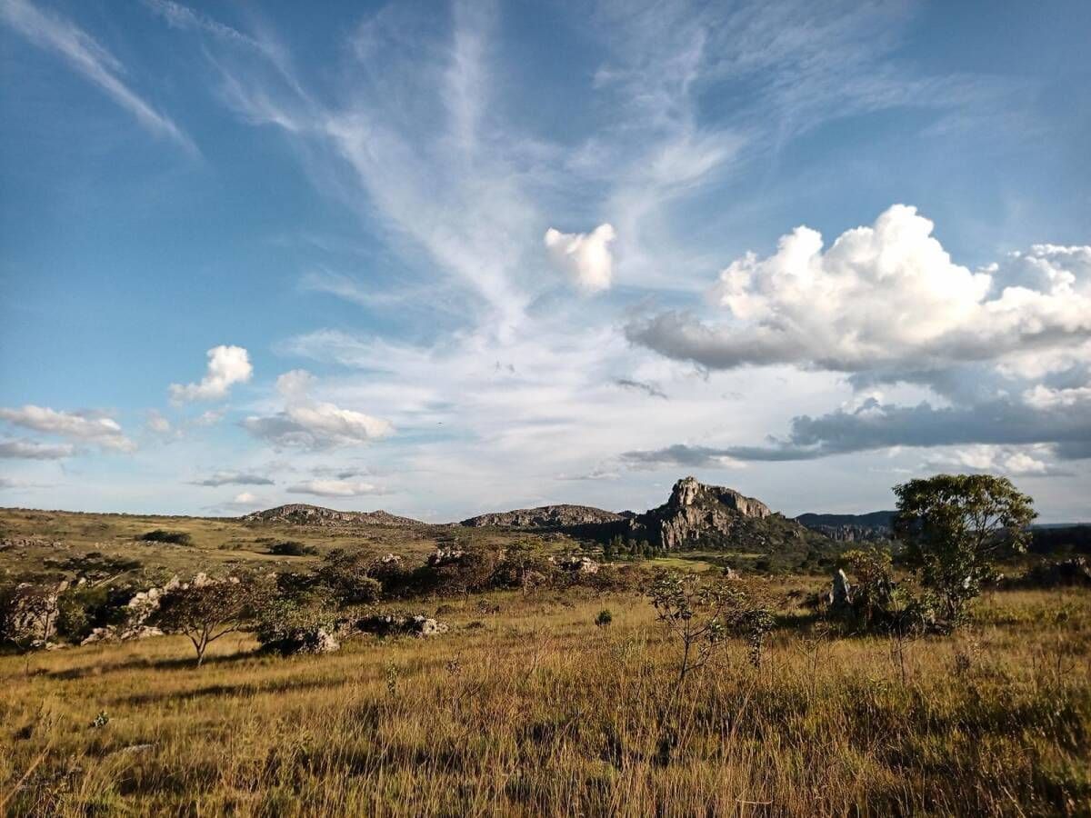 ARRAIAL ECOPIX 2026 - COUTO MAGALHÃES - 01 e 02/08 - Foto 9