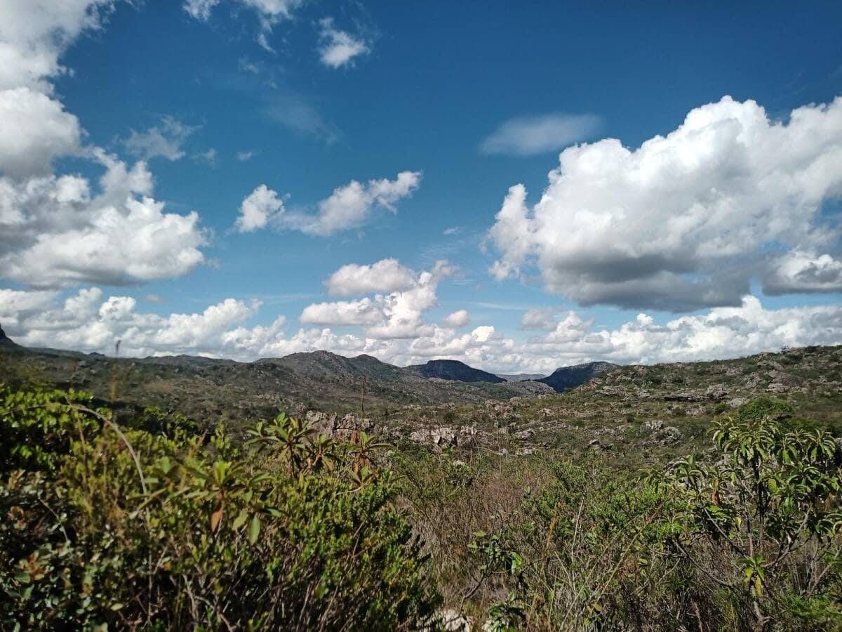 ARRAIAL ECOPIX 2026 - COUTO MAGALHÃES - 01 e 02/08 - Foto 11