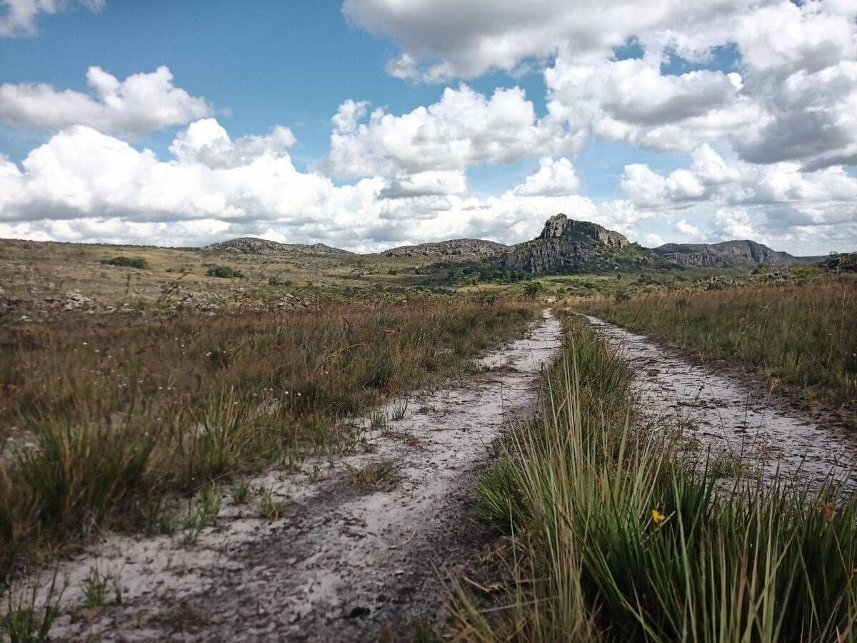 ARRAIAL ECOPIX 2026 - COUTO MAGALHÃES - 01 e 02/08 - Foto 12
