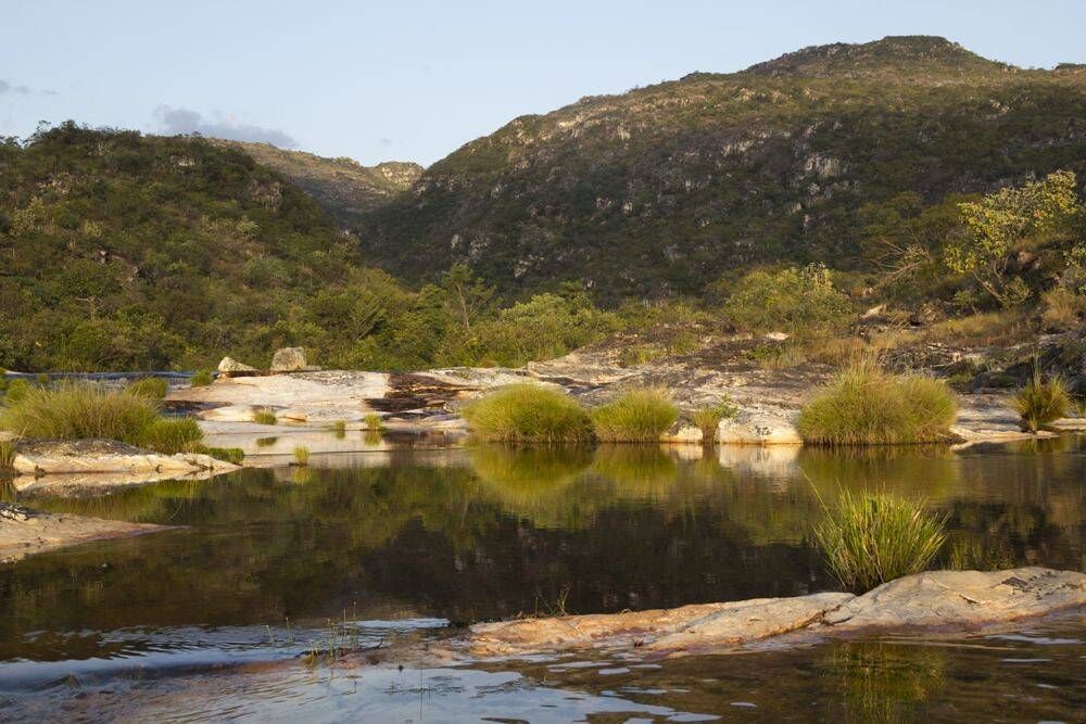 CARNAVAL CURIMATAÍ - 14 à 17/02 - Foto 3