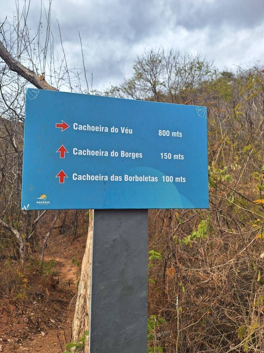 CARNAVAL CURIMATAÍ - 14 à 17/02 - Foto 7