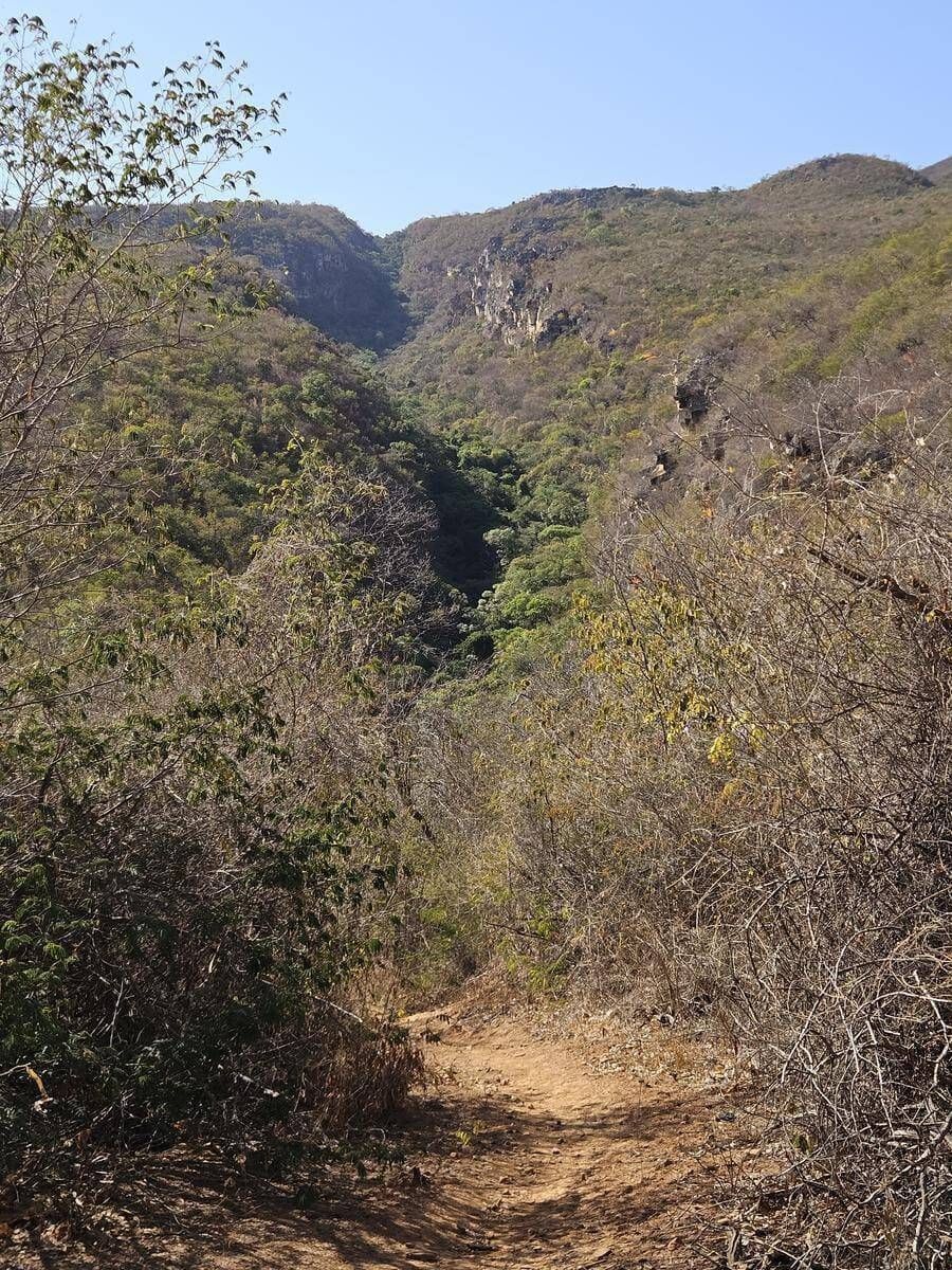 CARNAVAL CURIMATAÍ - 14 à 17/02 - Foto 9