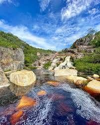 CARNAVAL CURIMATAÍ - 14 à 17/02 - Foto 2