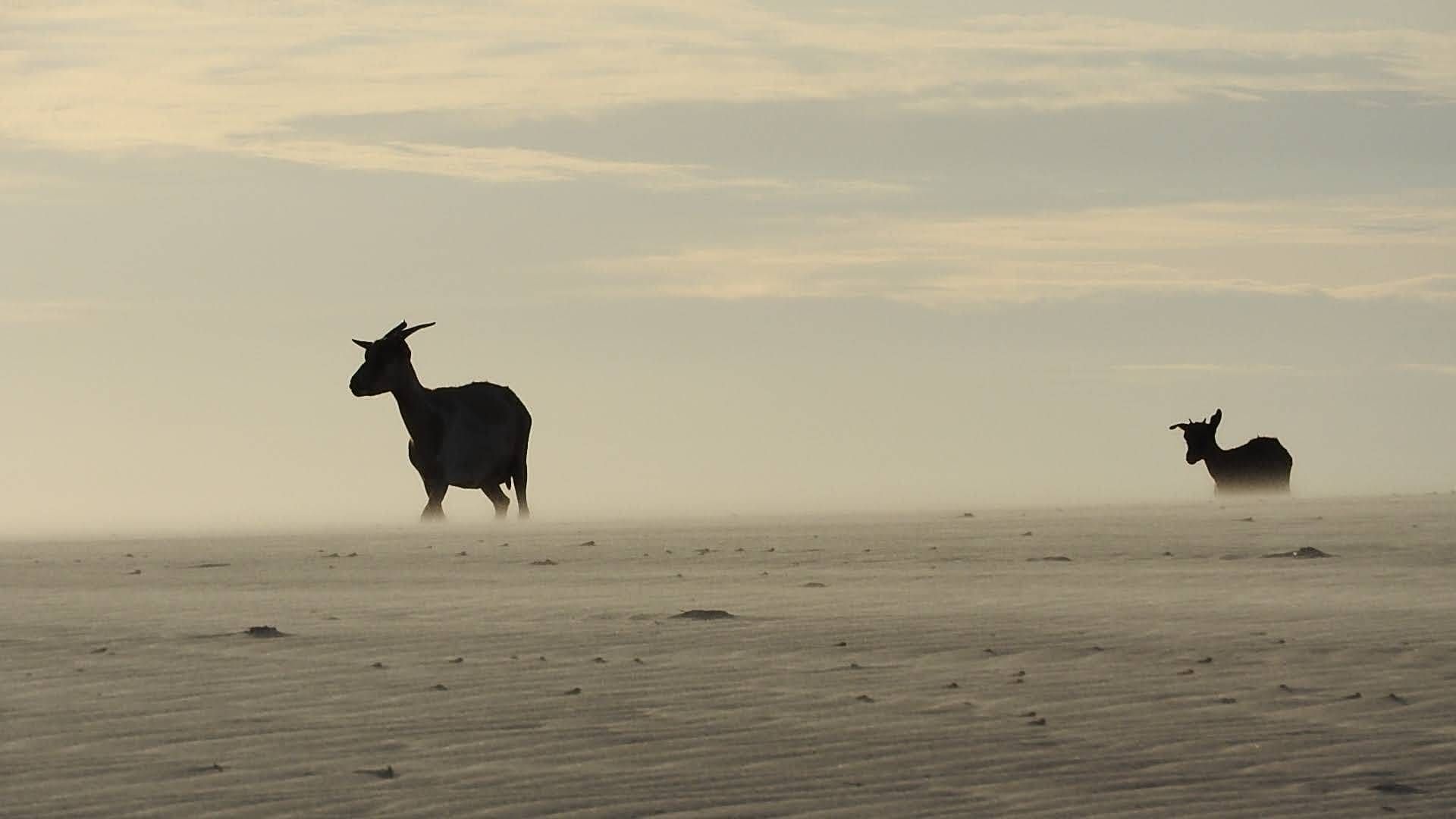 LENÇOIS MARANHENSES - 20 à 26/06 - Foto 8