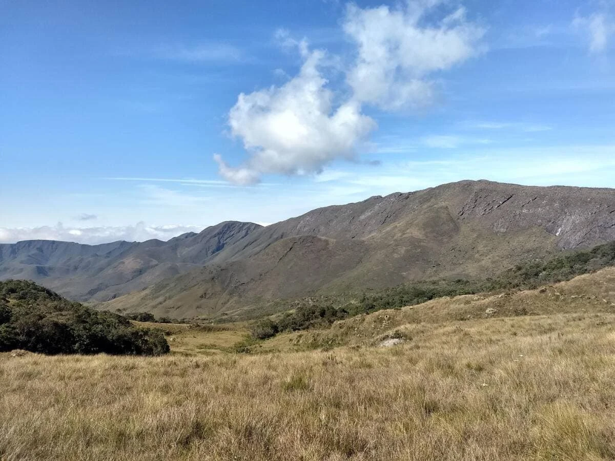 PICO DA CAPANEMA (PARNA GANDARELA) - 29/08 - Foto 6
