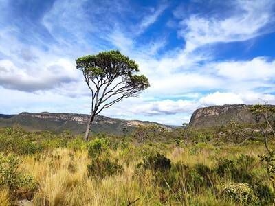 SANTA BÁRBARA x CURIMATAÍ - 14 à 17/02 - Foto 5