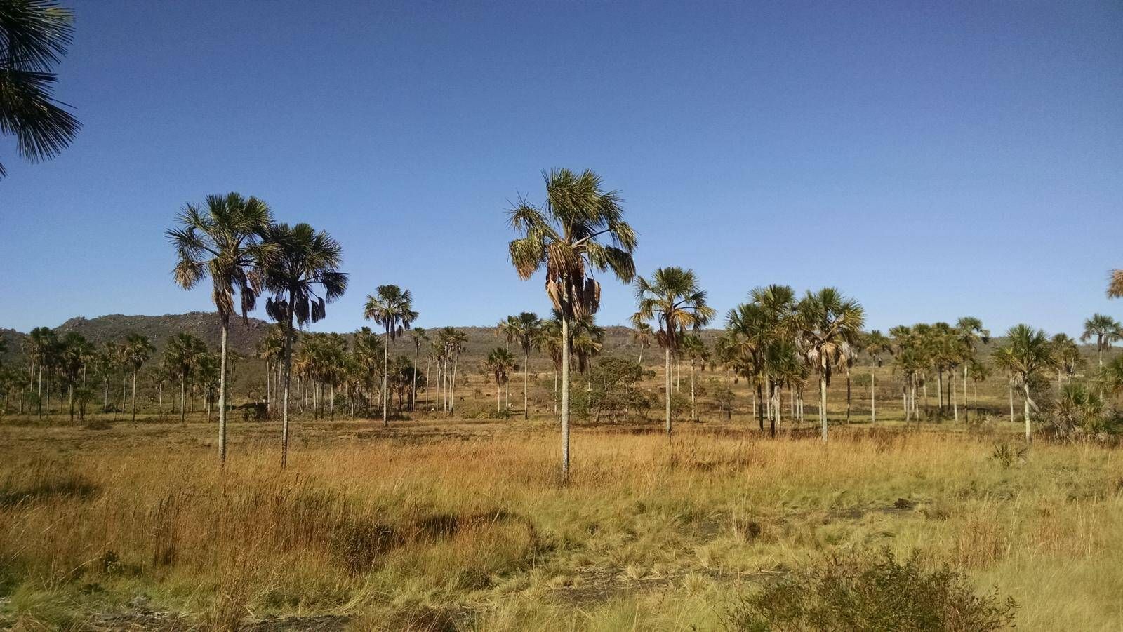 SANTA BÁRBARA x CURIMATAÍ - 14 à 17/02 - Foto 11