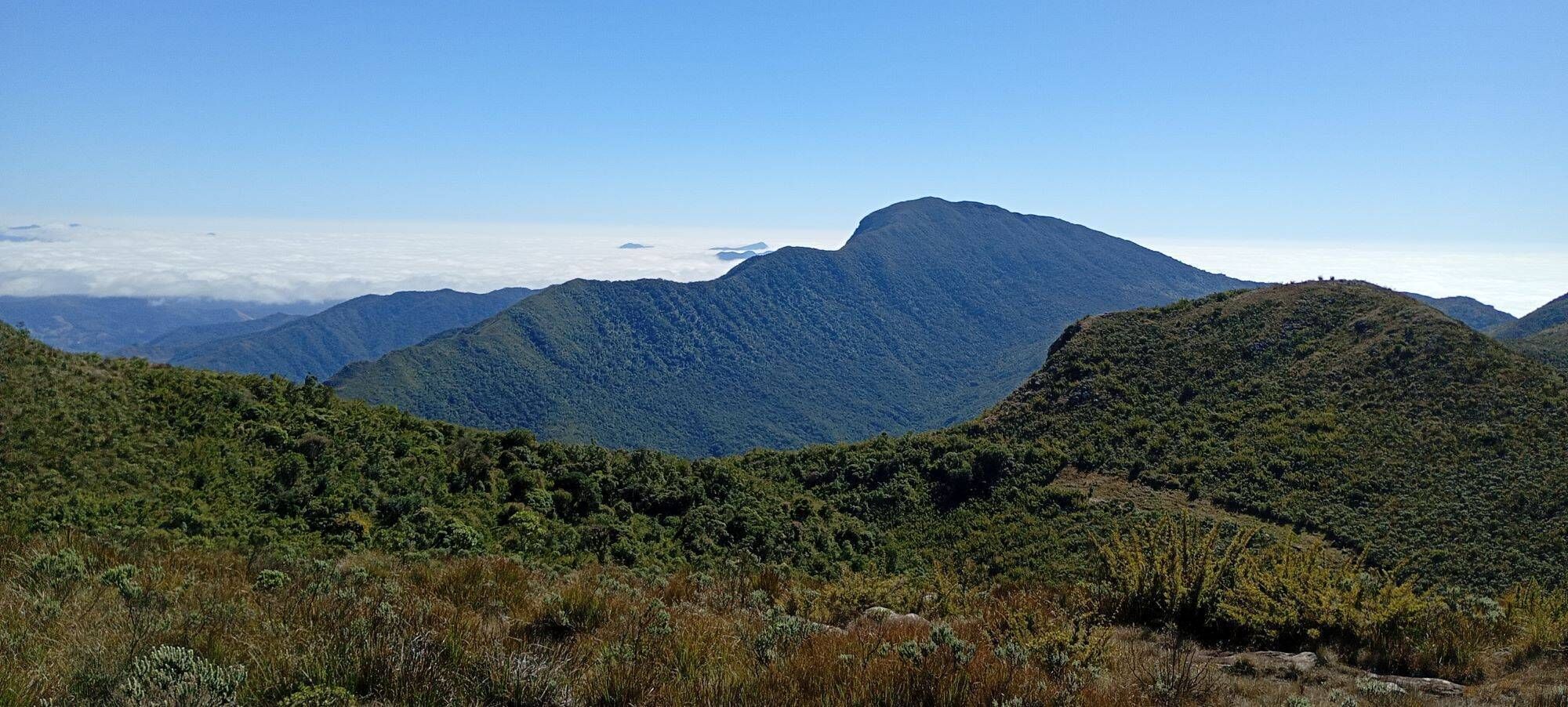 SINO & COUTO PRATELEIRAS - 29 e 30/08 - Foto 4