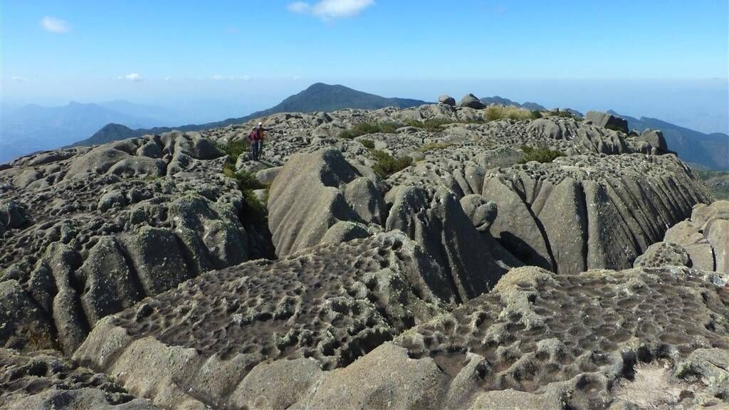 SINO & COUTO PRATELEIRAS - 29 e 30/08 - Foto 10