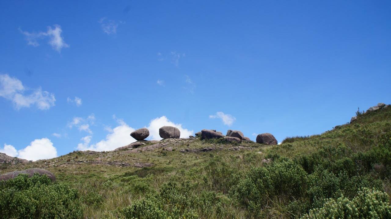 SINO & COUTO PRATELEIRAS - 29 e 30/08 - Foto 12