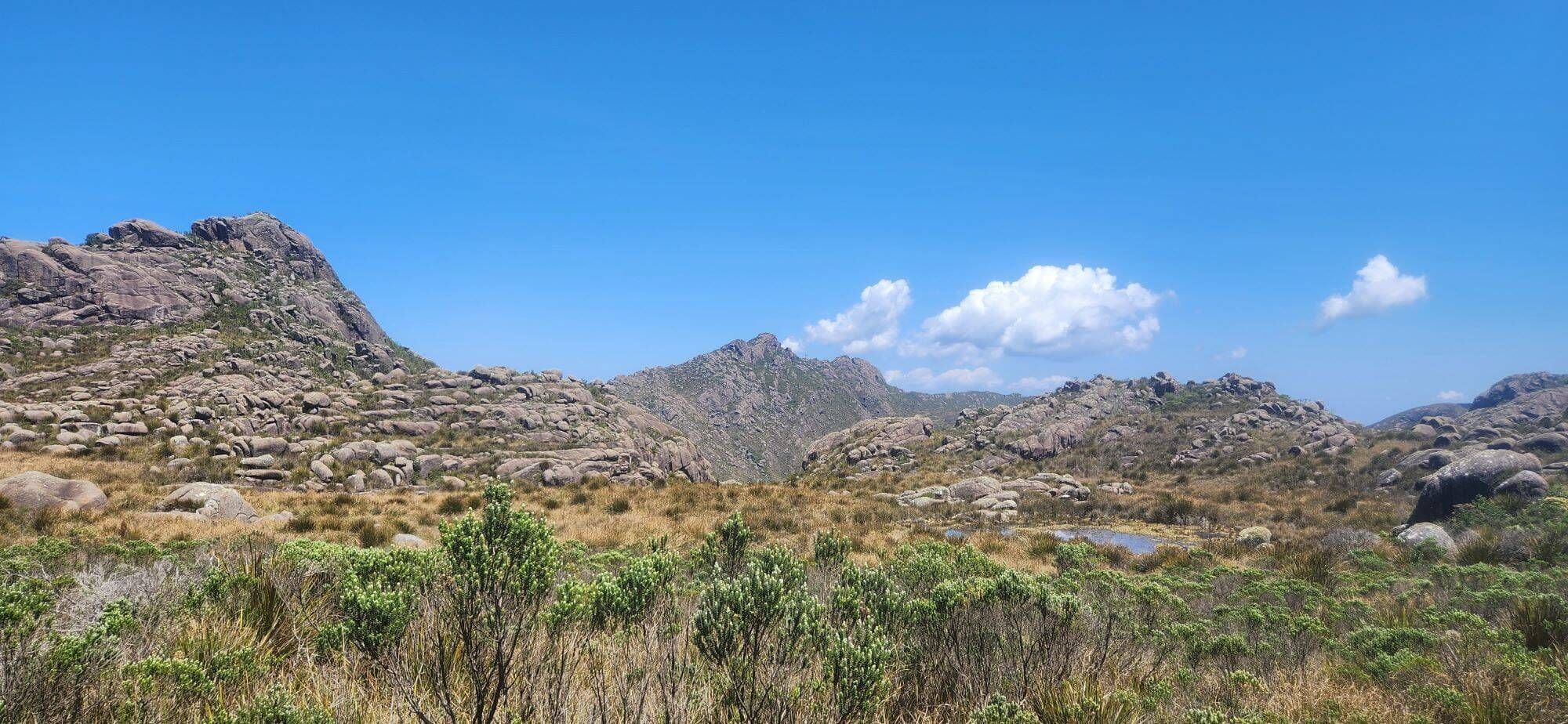 SINO & COUTO PRATELEIRAS - 29 e 30/08 - Foto 2