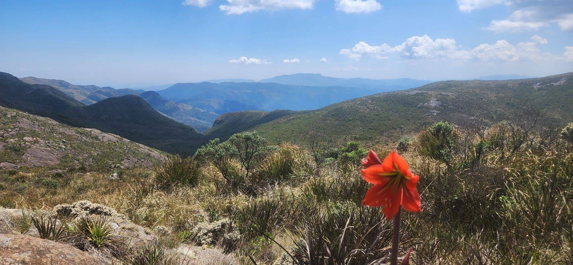 SINO & COUTO PRATELEIRAS - 29 e 30/08 - Foto 15