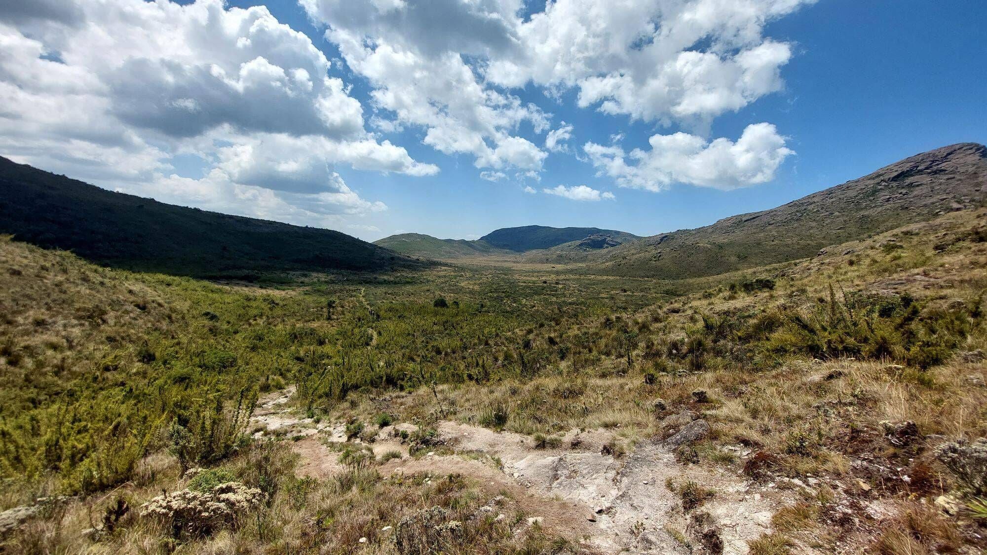 SINO & COUTO PRATELEIRAS - 29 e 30/08 - Foto 16