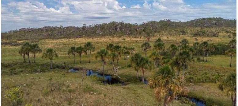 Imagem do Slide Home