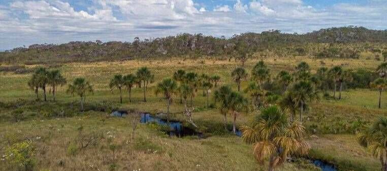 Imagem do Slide Home