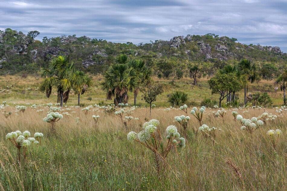 VIVÊNCIA BUENÓPOLIS - 21 e 22/03 - Foto 6
