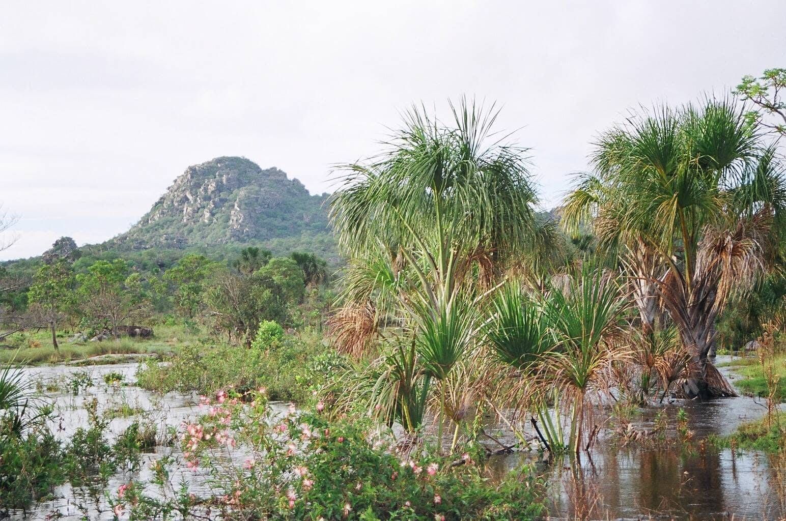 VIVÊNCIA BUENÓPOLIS - 21 e 22/03 - Foto 12