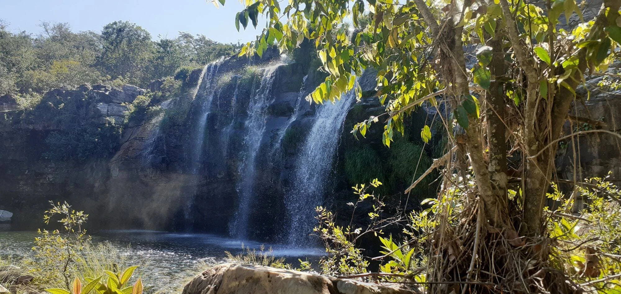 VIVÊNCIA DELFINÓPOLIS - 05 e 06/12 - Foto 3