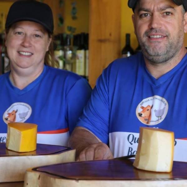 Queijarias do Oeste do Paraná transformam leite em produtos premiados e de alto valor agregado