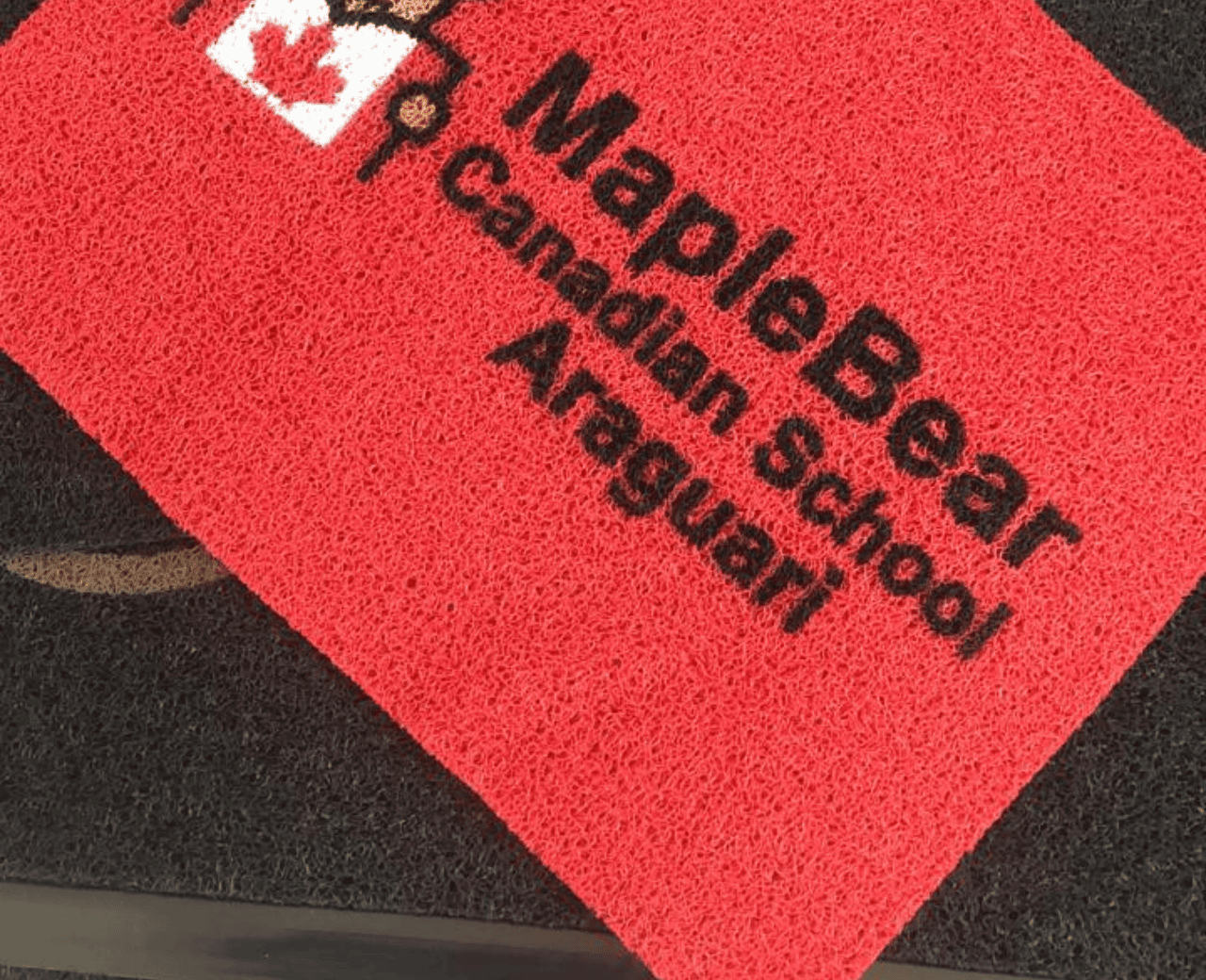 Tapetes para Empresas - Foto 5