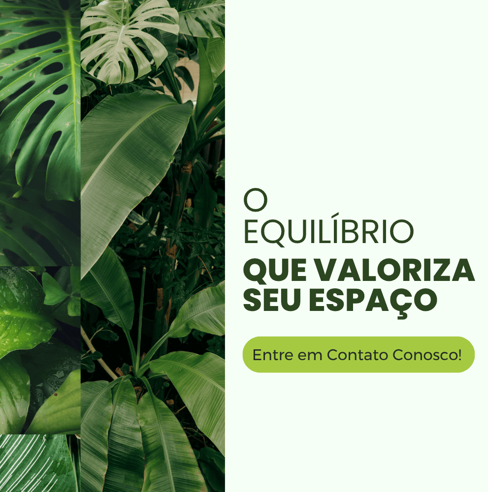 Imagem do Slide Home