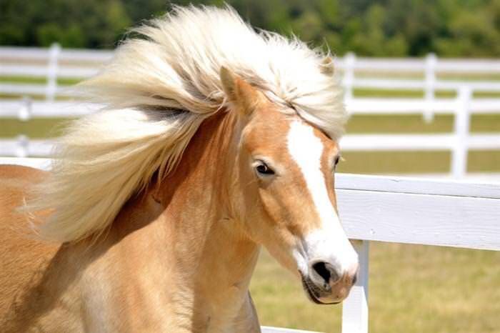 POESIA, FOTO, ARTES & AFINS