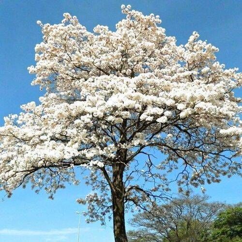 POESIA, FOTO, ARTES & AFINS