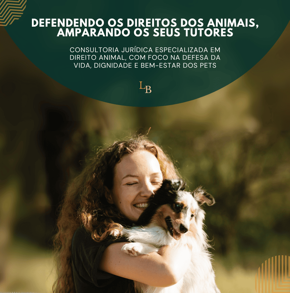 Imagem do Slide Home