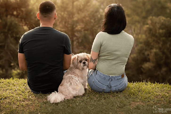 TRIBUNAL NEGA PEDIDO DE VISITAS DE PET POR EX-MARIDO COM MEDIDA PROTETIVA CONTRA SI