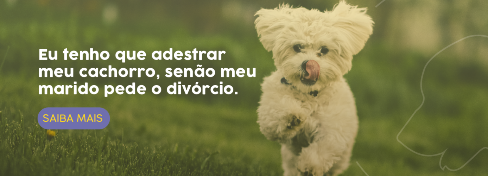 Imagem do Slide Home