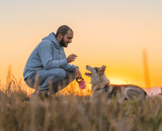 Quer um cachorro bem educado? Saiba como alcançar isso. - Foto 1