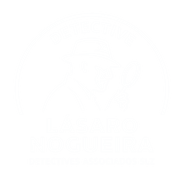 Detetive Associados SLZ