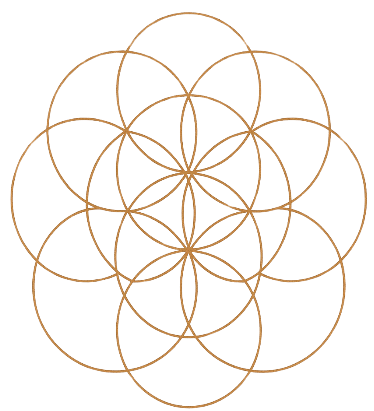 Catiane Gonçalves Jaquier Me