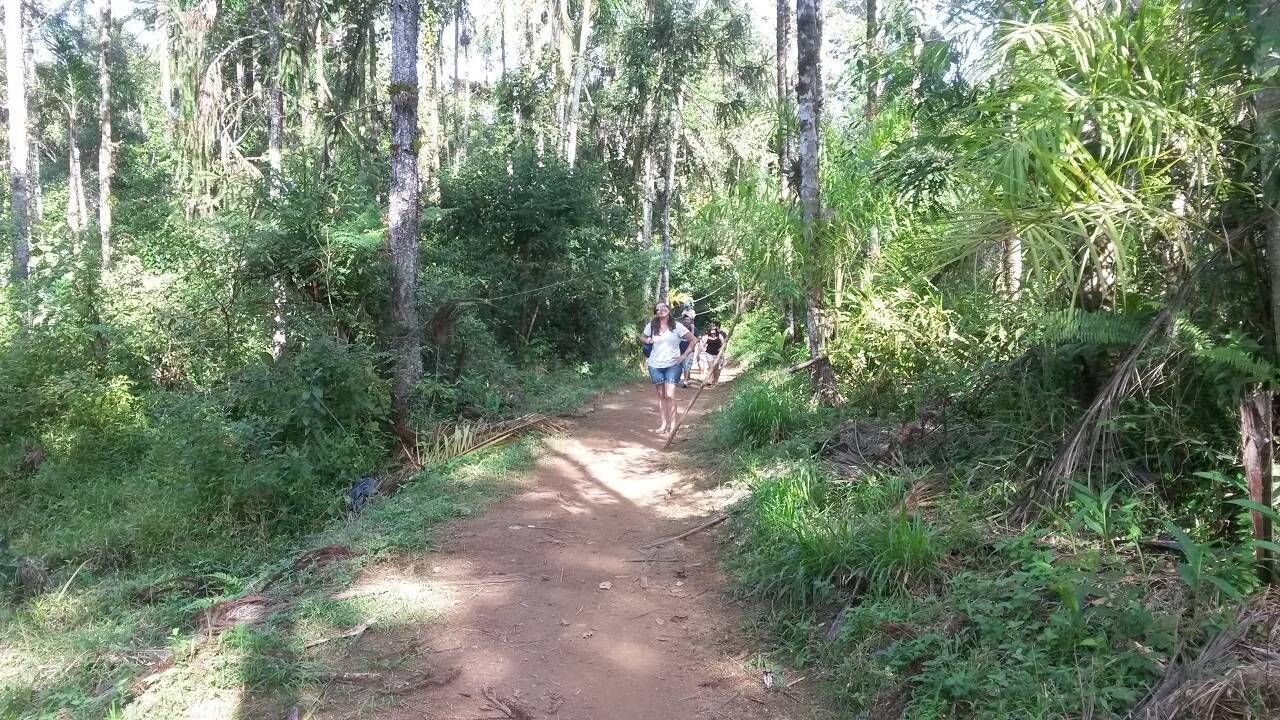 Vivência Indígena na Aldeia Boa Vista - Foto 9