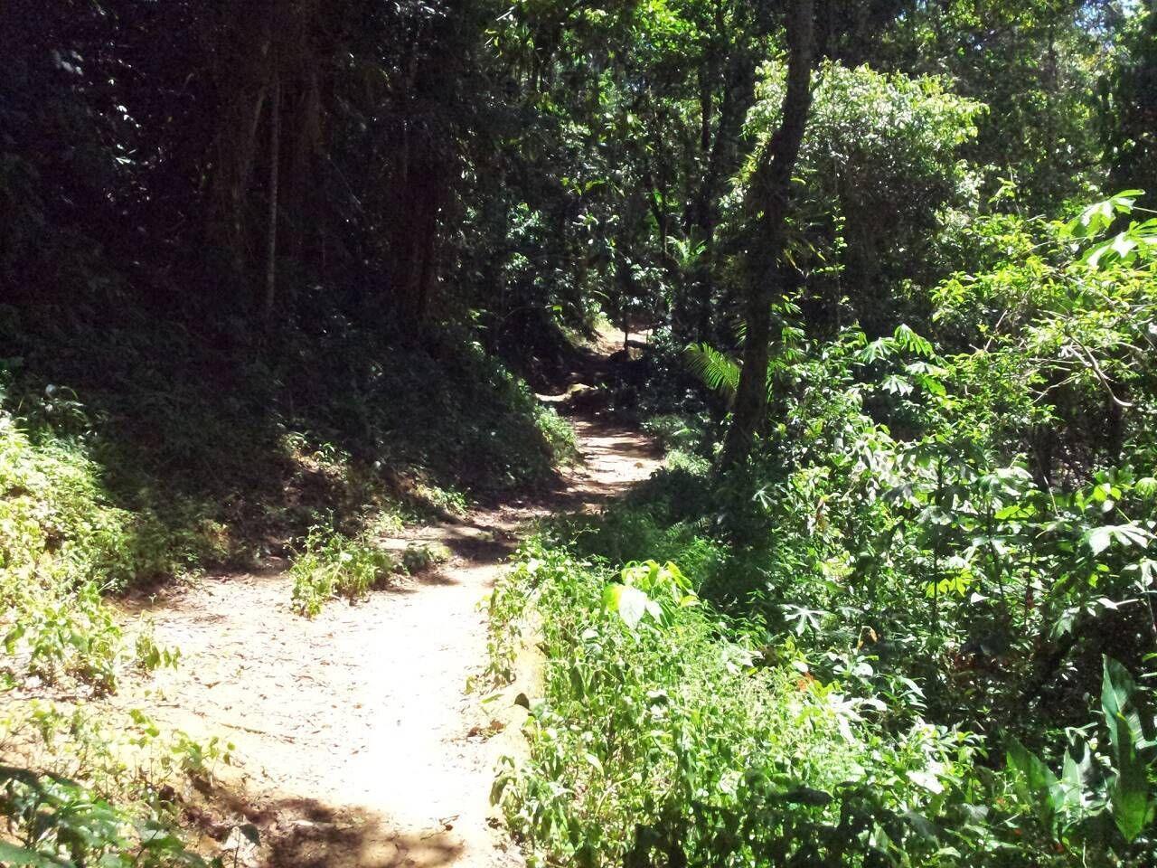 Vivência Indígena na Aldeia Boa Vista - Foto 10