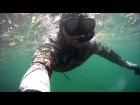 Pacote Mergulho e Snorkel - Praia do Cedro e Ilha - Foto 4