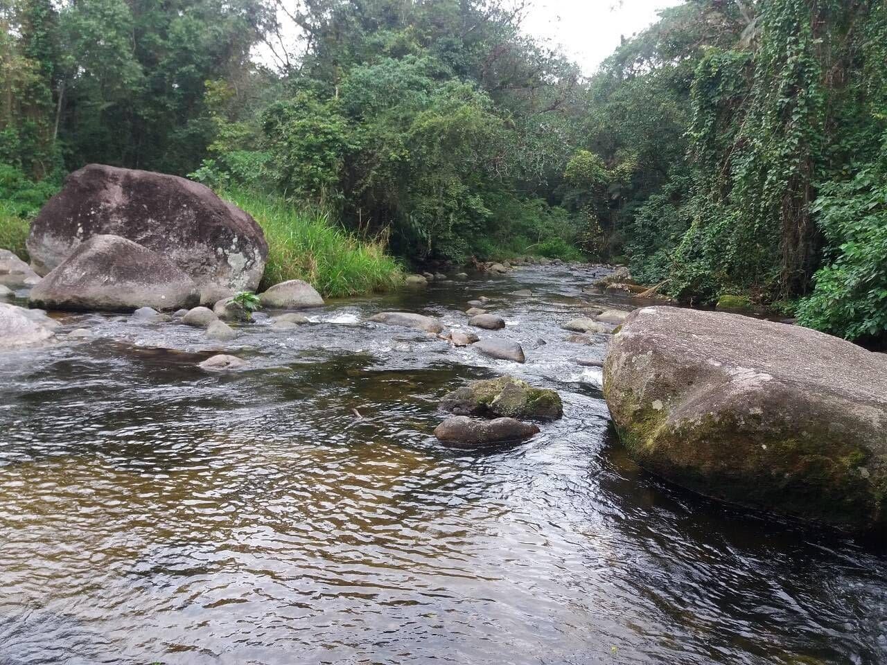 Cachoeiras e Praia de Ubatumirim - Foto 8