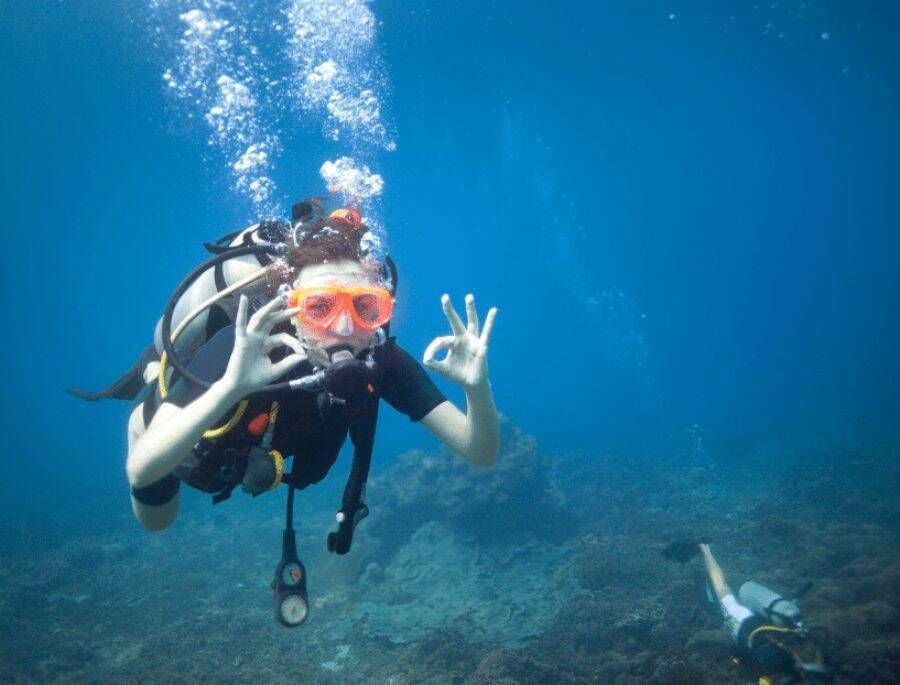 Pacote Mergulho e Snorkel - Praia do Cedro e Ilha - Foto 7