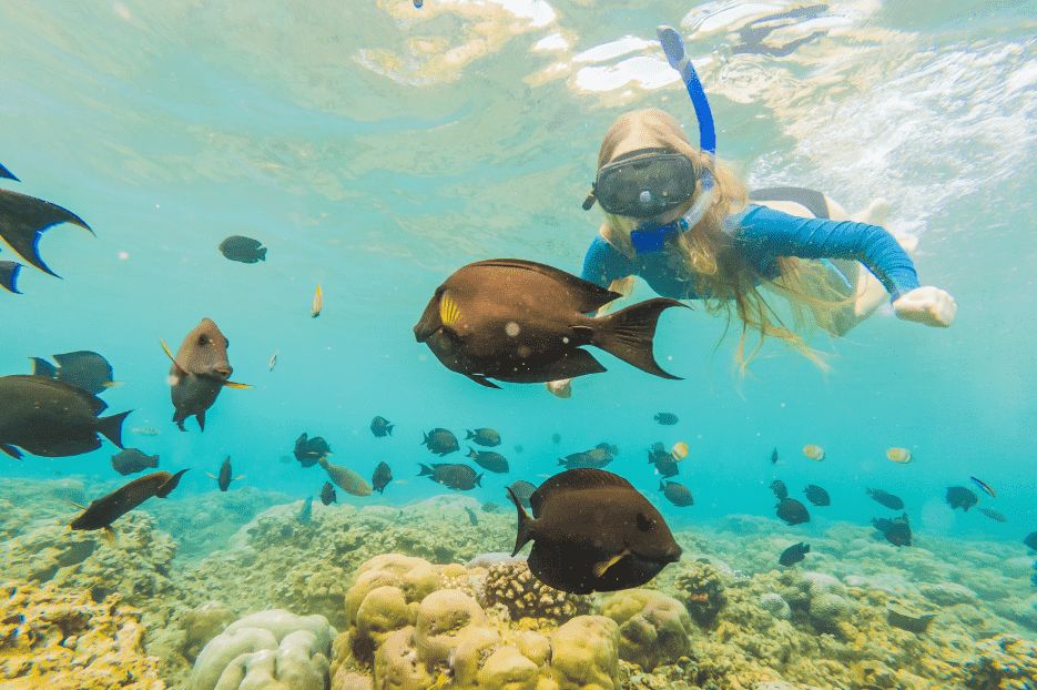 Pacote Mergulho e Snorkel - Praia do Cedro e Ilha - Foto 1