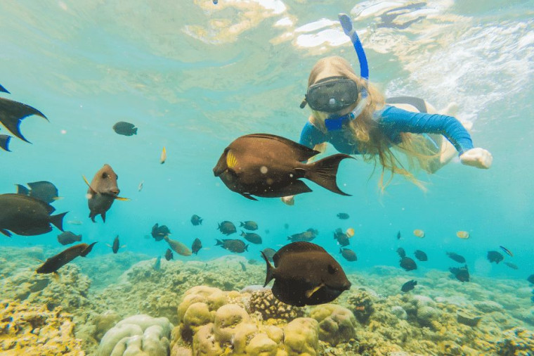 Pacote Mergulho e Snorkel - Praia do Cedro e Ilha - Foto 1