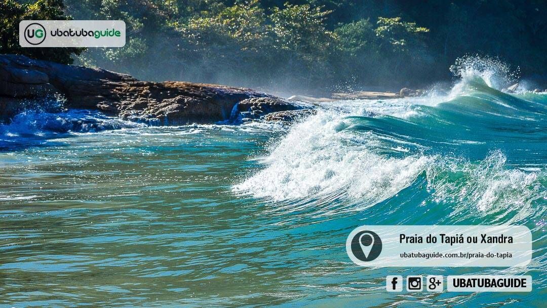Pacote Trilha Praia de Fora - Foto 19
