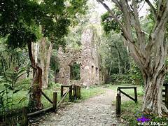 Excursão Ubatuba Praia da Lagoinha - Foto 15