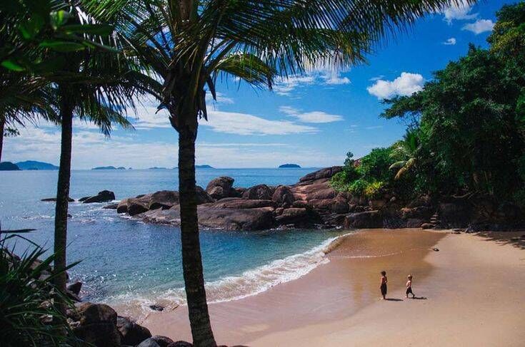 Félix, Português, Conchas, Trilha do Léo - Foto 3