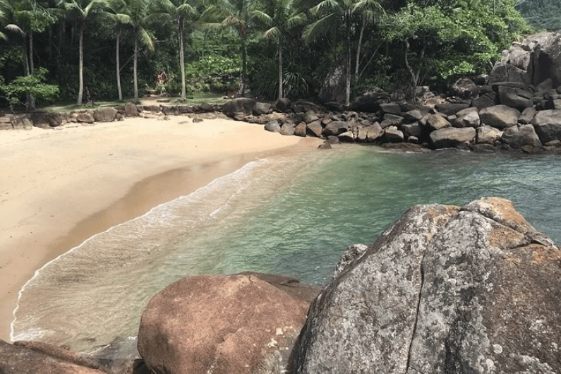 Félix, Português, Conchas, Trilha do Léo - Foto 22