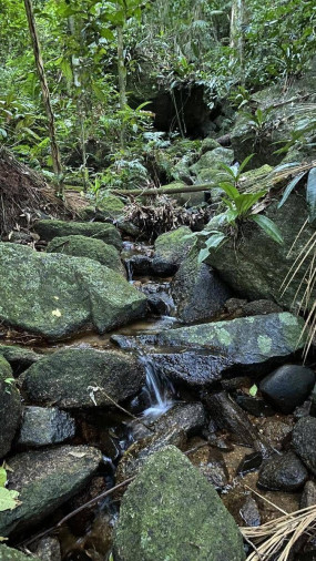 Pico do miranda - Foto 1