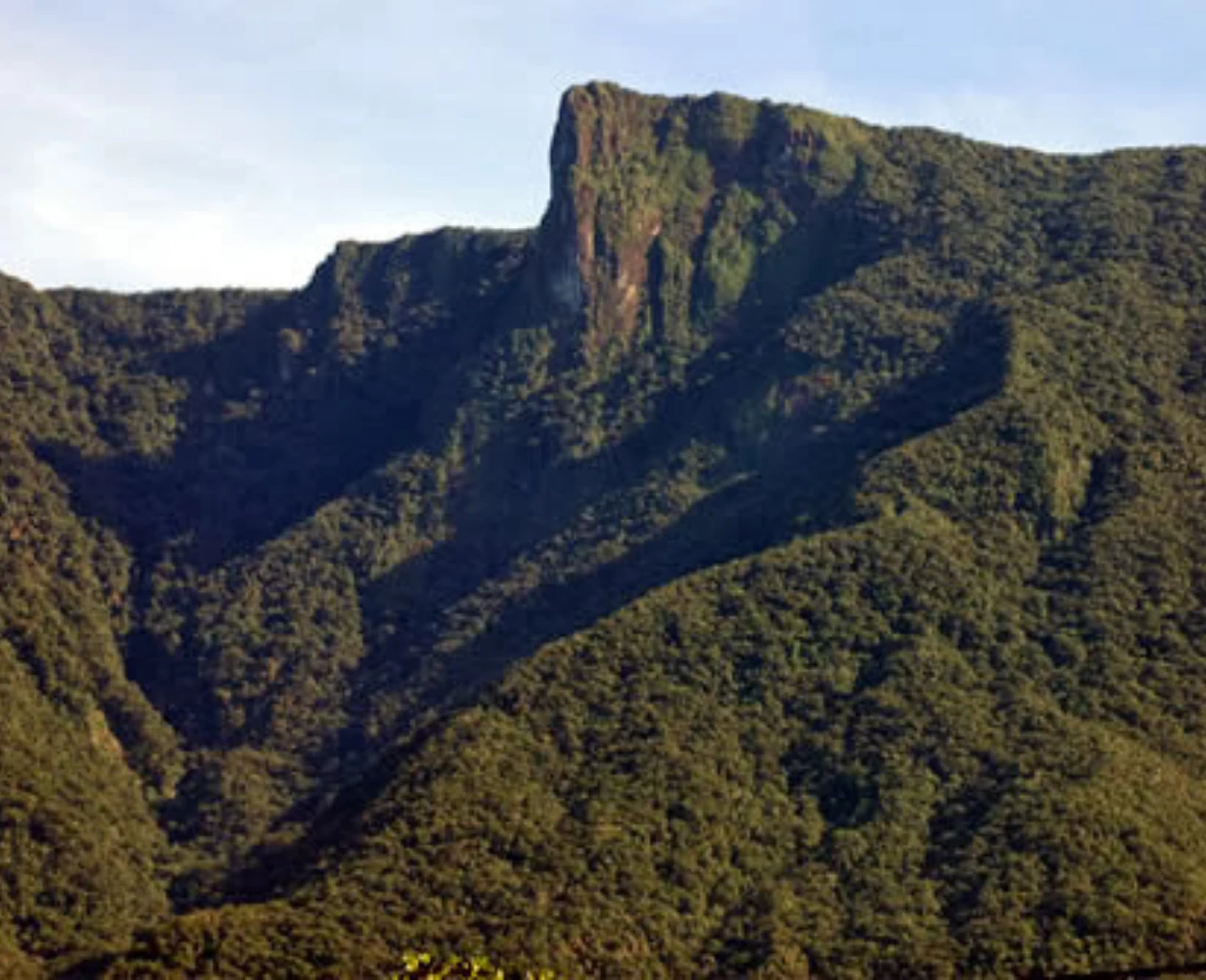 Pico do Corcovado - Foto 1