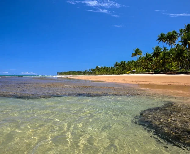 Trilha da Praia de Fora - Foto 1